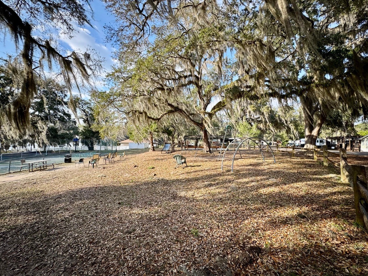 25232 NE 143rd Street #178 Salt Springs FL 32134 - LITTLE LAKE KERR OM725092 image6
