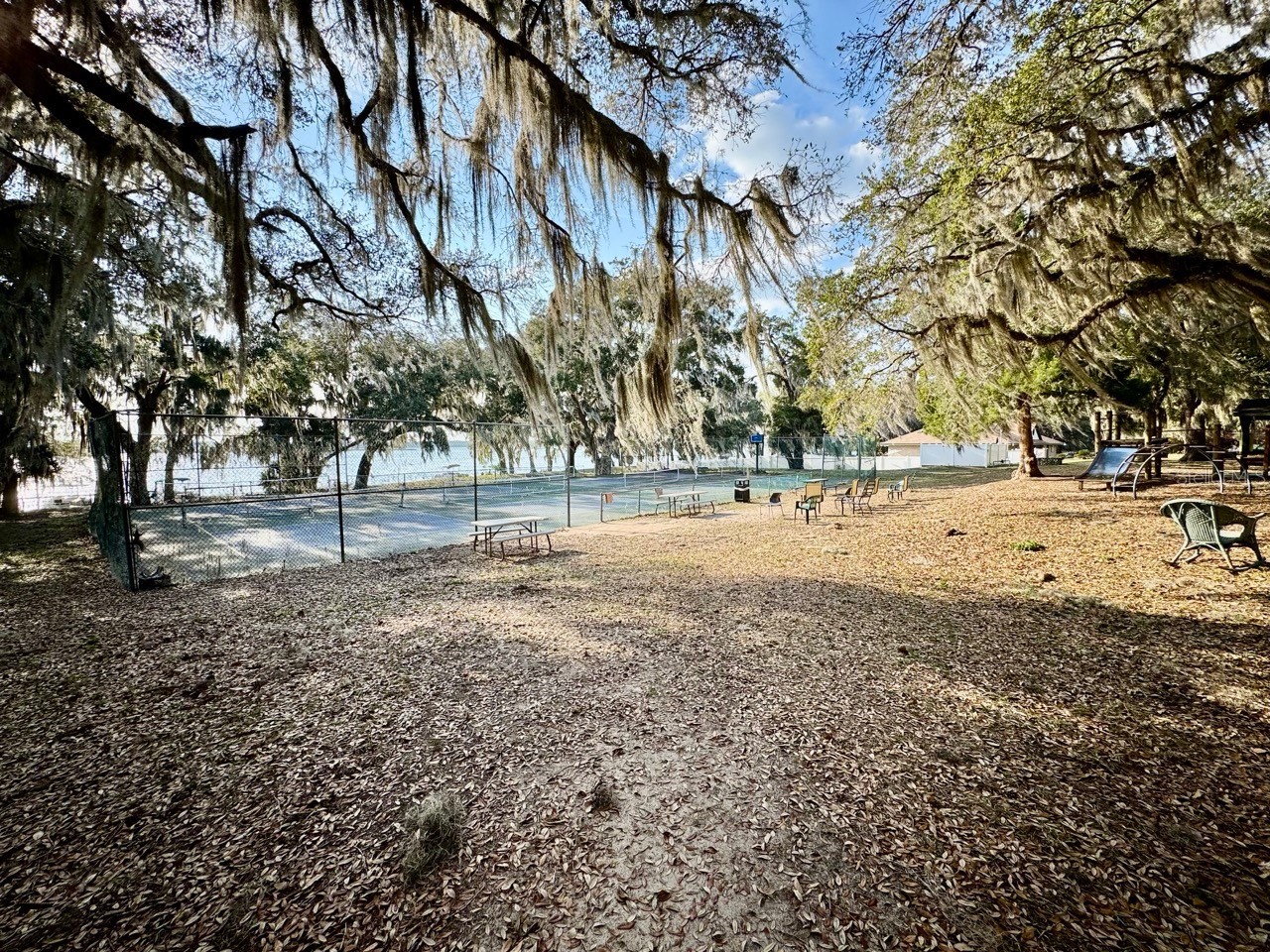 25232 NE 143rd Street #178 Salt Springs FL 32134 - LITTLE LAKE KERR OM725092 image7
