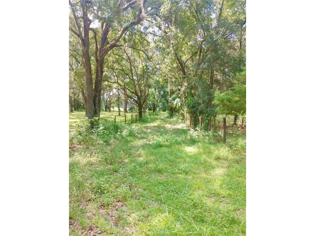 25234 Malvern Street Brooksville FL 34601 U8211749 image1