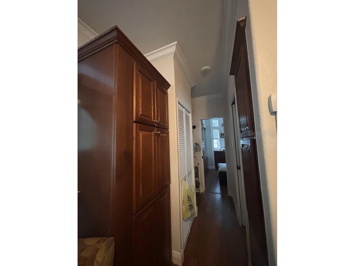 25235 NE 143rd Place #145 Salt Springs FL 32134 - LITTLE LAKE KERR OM720883 image24