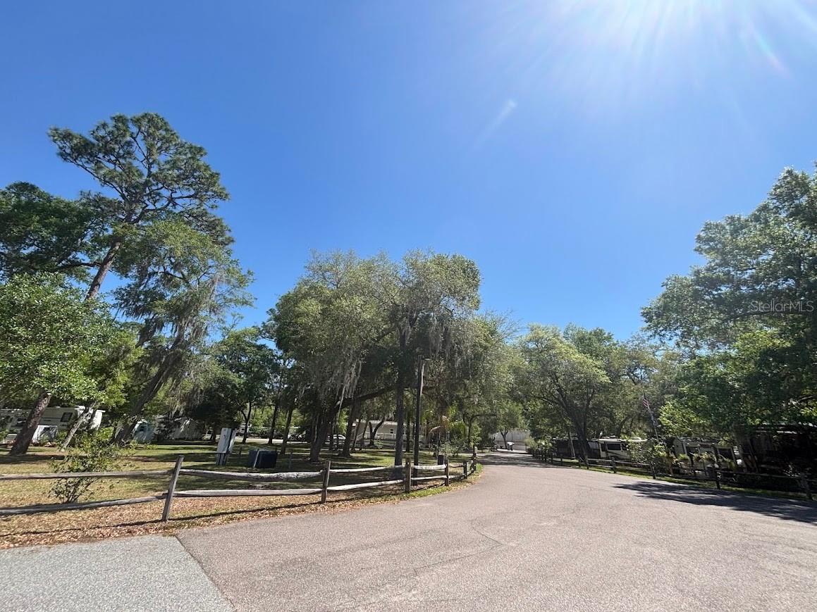 25235 NE 143rd Place #145 Salt Springs FL 32134 - LITTLE LAKE KERR OM720883 image50