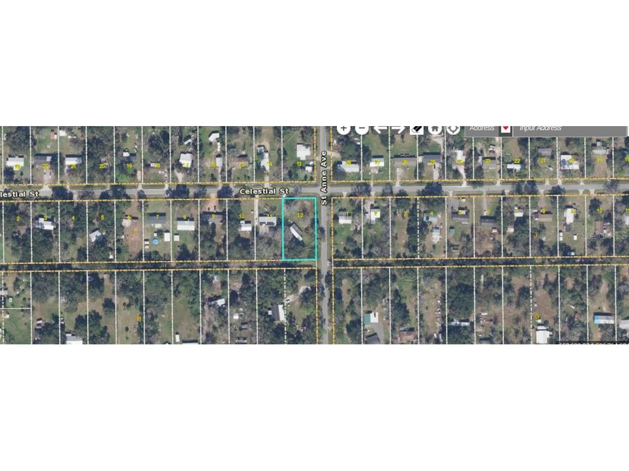 25236 Celestial Street Christmas FL 32709 O6296945 image1