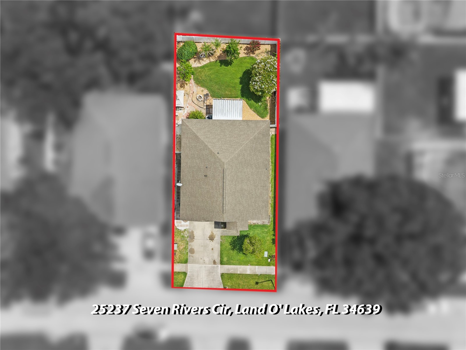 25237 Seven Rivers Circle Land O Lakes FL 34639 TB8532226 image35