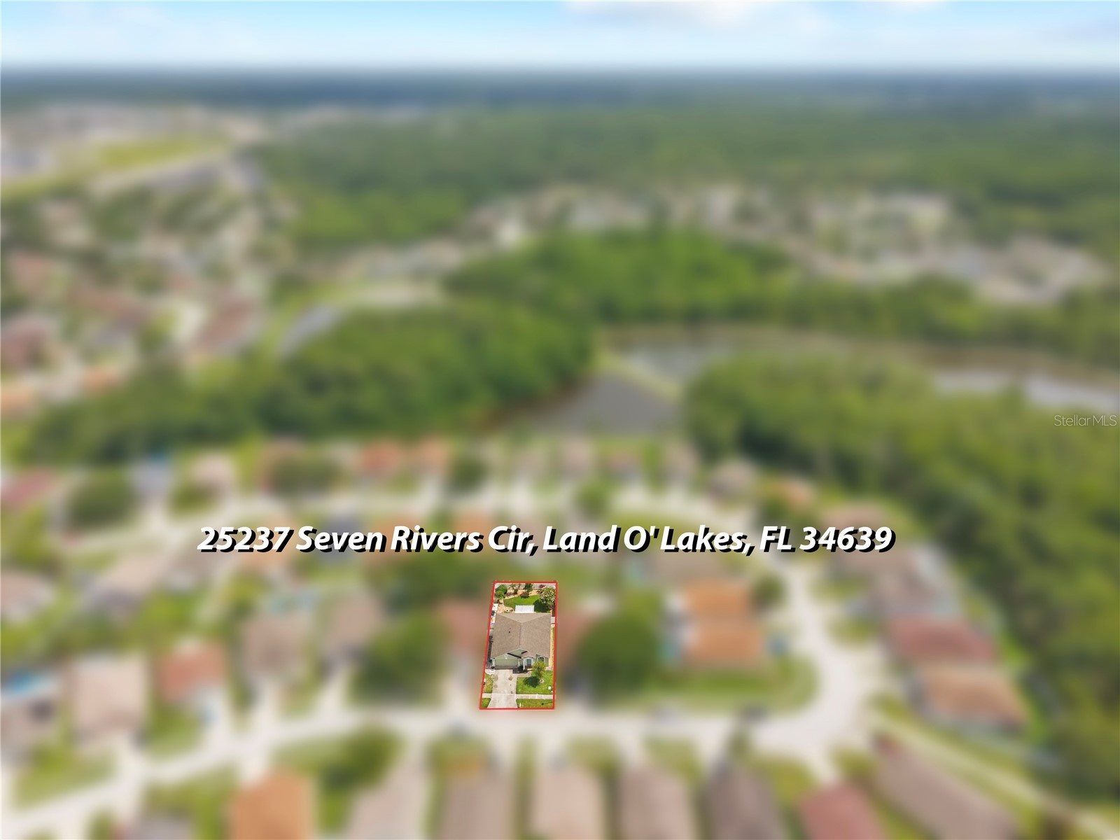25237 Seven Rivers Circle Land O Lakes FL 34639 TB8532226 image39