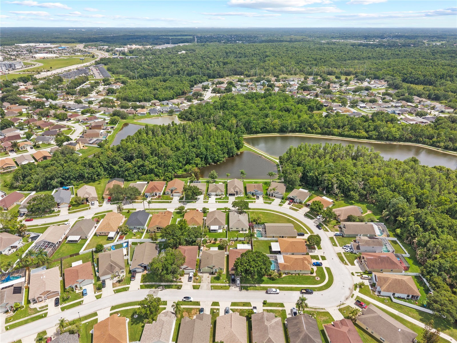 25237 Seven Rivers Circle Land O Lakes FL 34639 TB8532226 image40