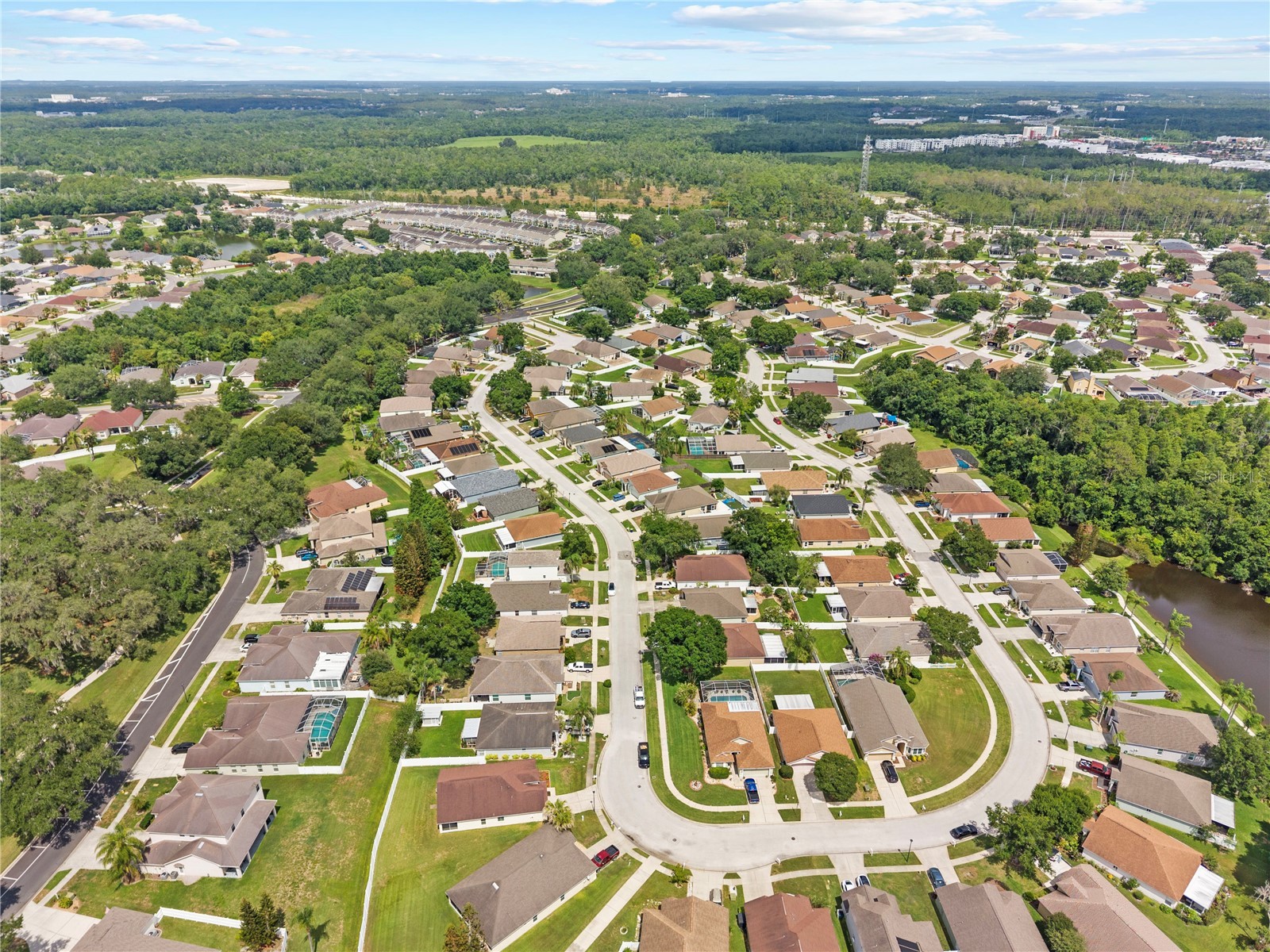 25237 Seven Rivers Circle Land O Lakes FL 34639 TB8532226 image41