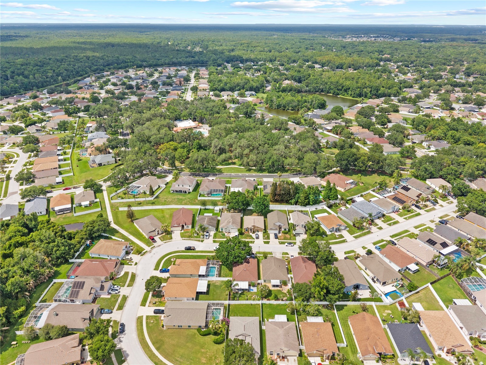 25237 Seven Rivers Circle Land O Lakes FL 34639 TB8532226 image42