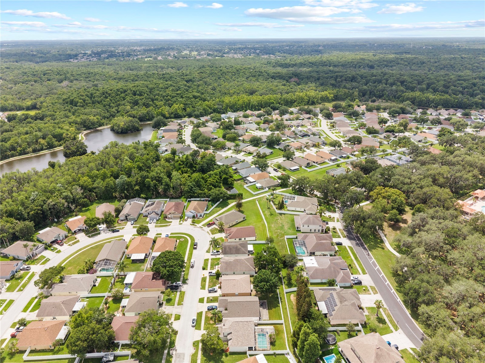 25237 Seven Rivers Circle Land O Lakes FL 34639 TB8532226 image43