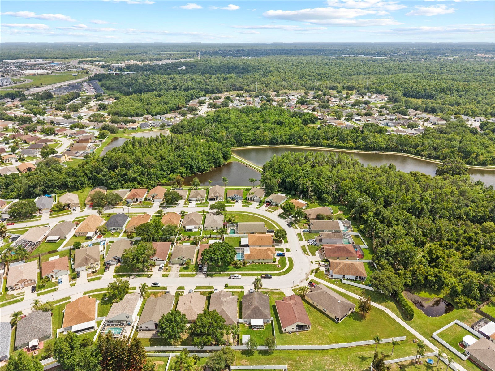 25237 Seven Rivers Circle Land O Lakes FL 34639 TB8532226 image44