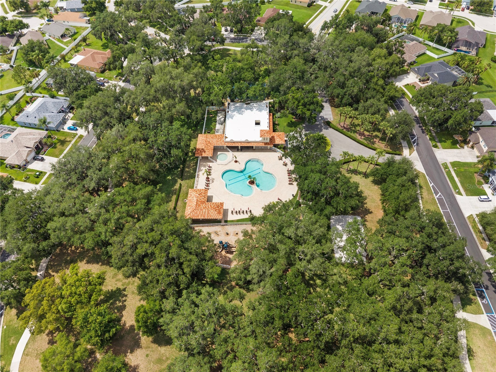 25237 Seven Rivers Circle Land O Lakes FL 34639 TB8532226 image46