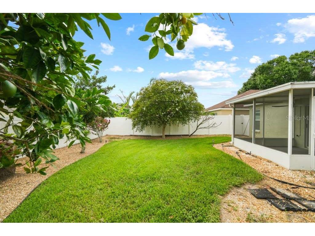25237 Seven Rivers Circle Land O Lakes FL 34639 TB8532226 image50
