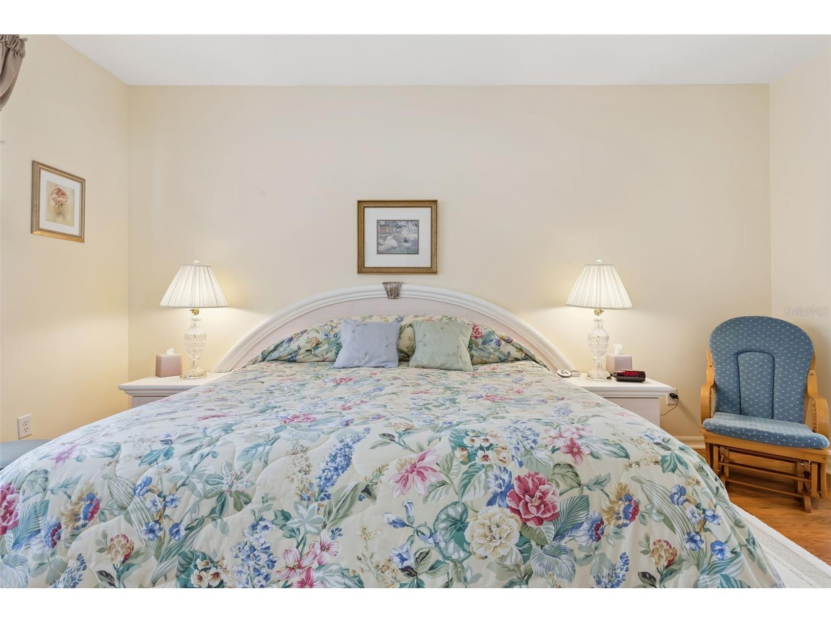 25239 Cranes Roost Circle Leesburg FL 34748 G5107978 image12