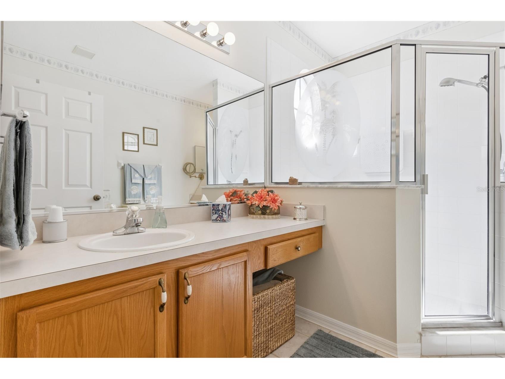 25239 Cranes Roost Circle Leesburg FL 34748 G5107978 image15