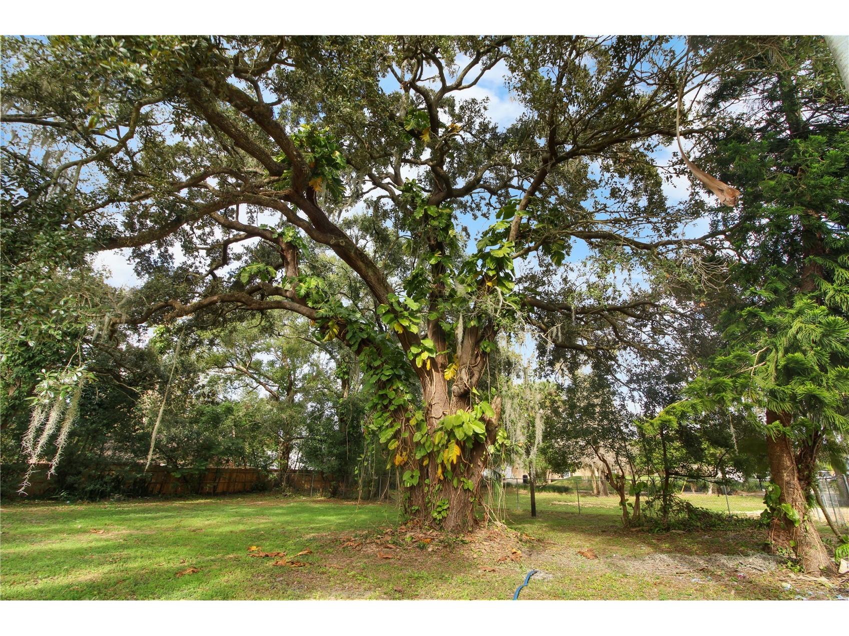 2524 Blue Lake Court Apopka FL 32703 O6375916 image27