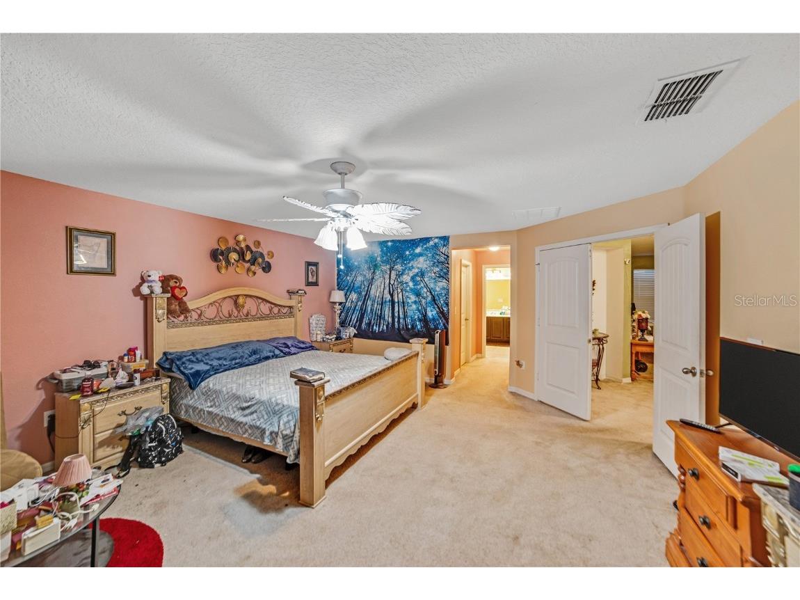 2524 Interlock Drive Kissimmee FL 34741 V4945986 image19