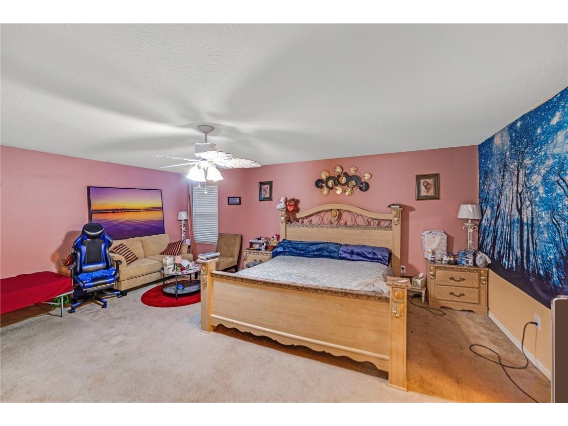 2524 Interlock Drive Kissimmee FL 34741 V4945986 image21