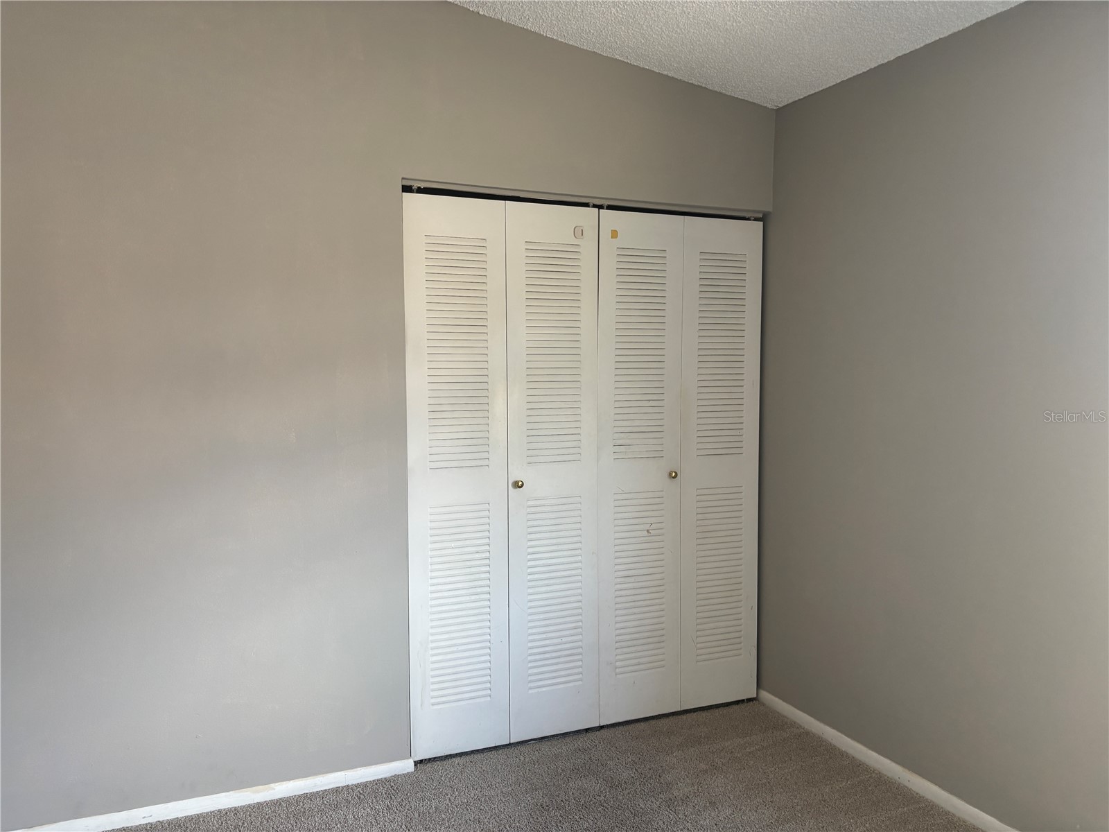 2524 Lakeway Branch Drive #3208 Orlando FL 32839 O6400737 image11