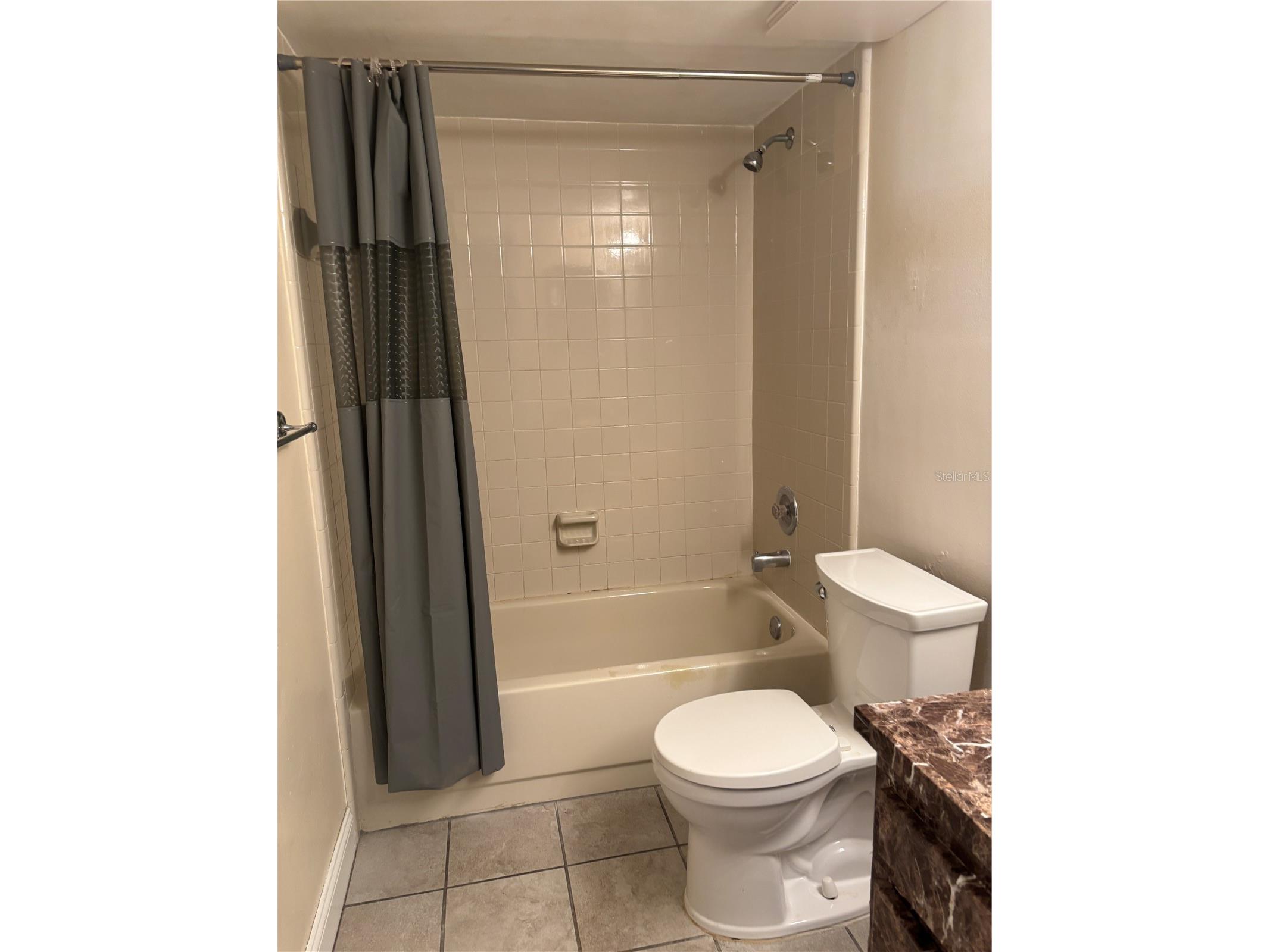2524 Lakeway Branch Drive #3208 Orlando FL 32839 O6400737 image14