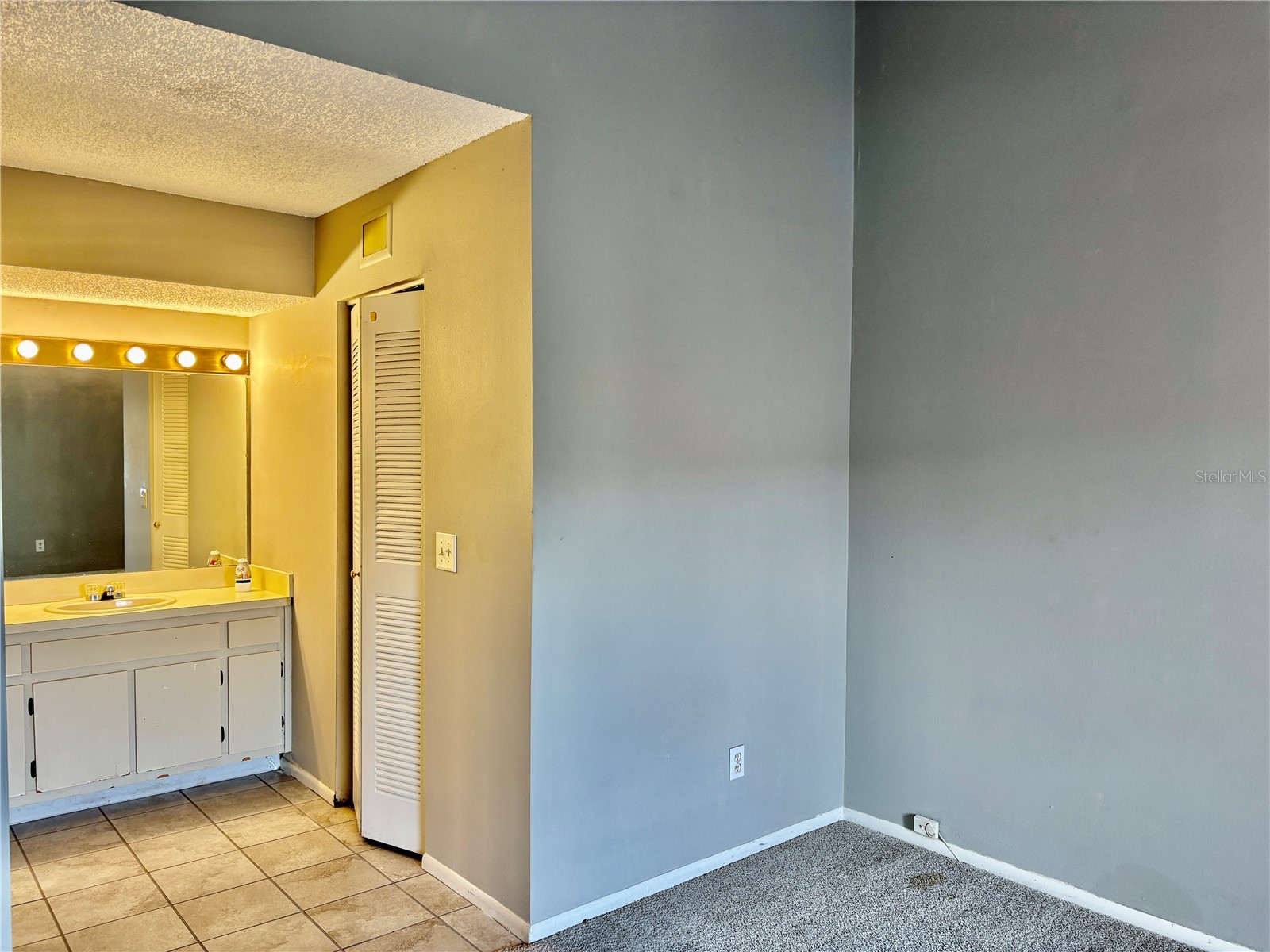 2524 Lakeway Branch Drive #3208 Orlando FL 32839 O6400737 image17