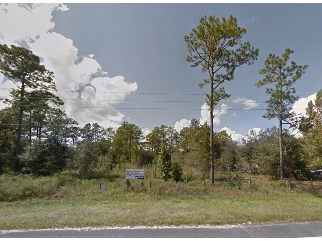 2524 SE State Road 121 Morriston FL 32668 U8192205 image1