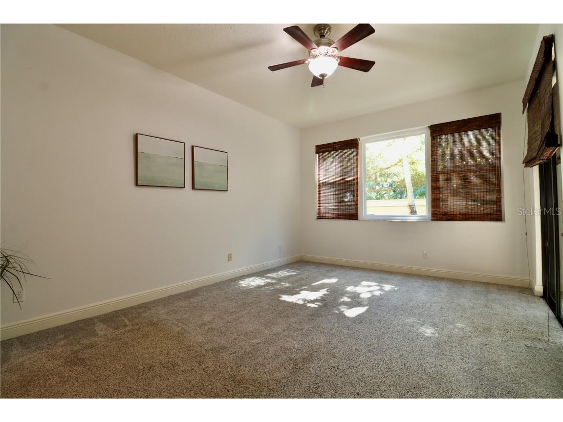 2524 Tranquility Drive Palm Harbor FL 34684 TB8448686 image13