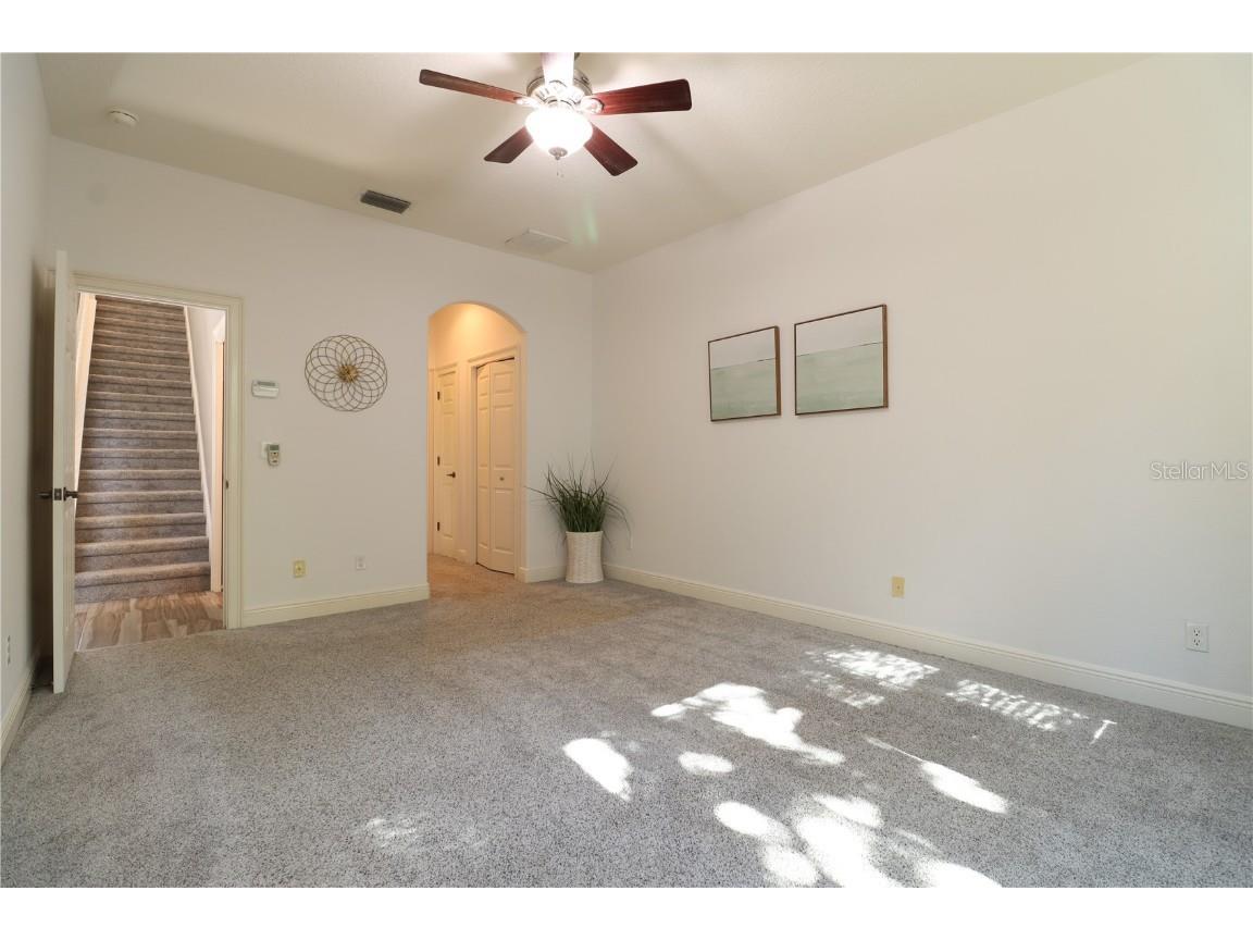 2524 Tranquility Drive Palm Harbor FL 34684 TB8448686 image15