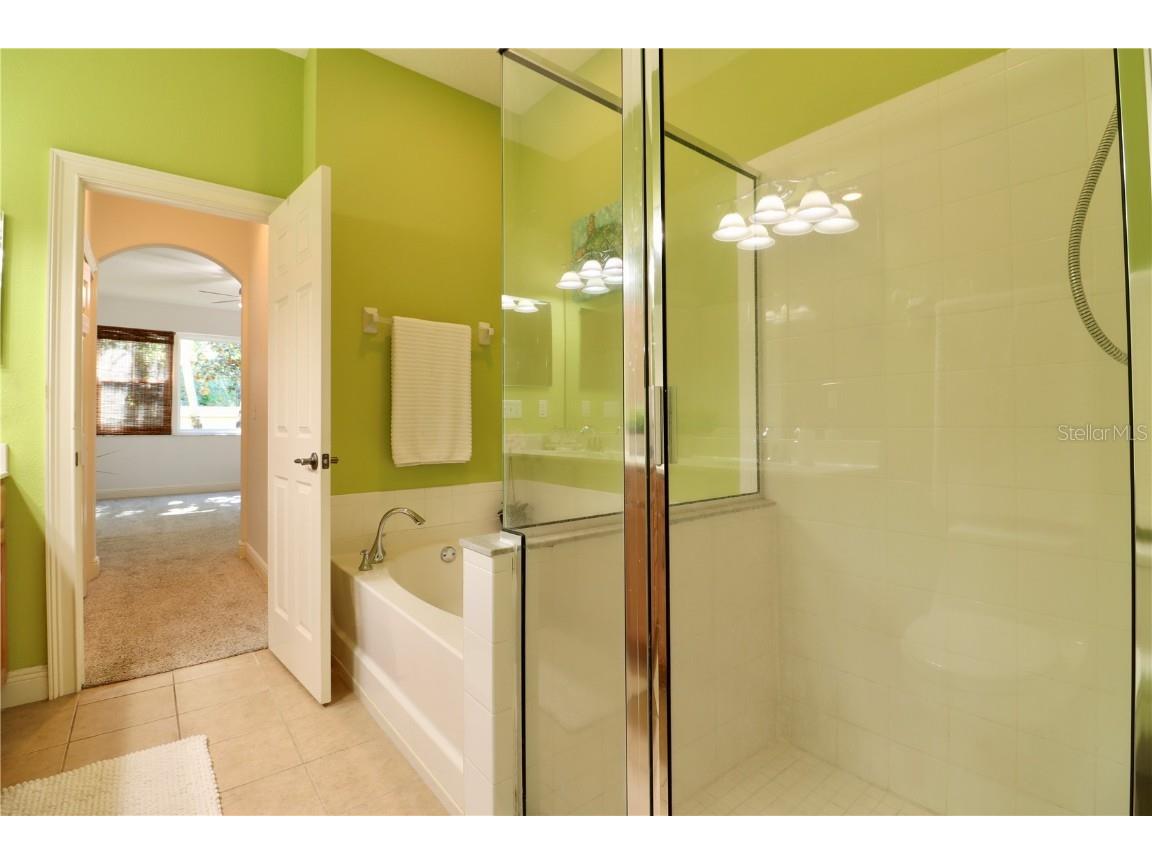 2524 Tranquility Drive Palm Harbor FL 34684 TB8448686 image17