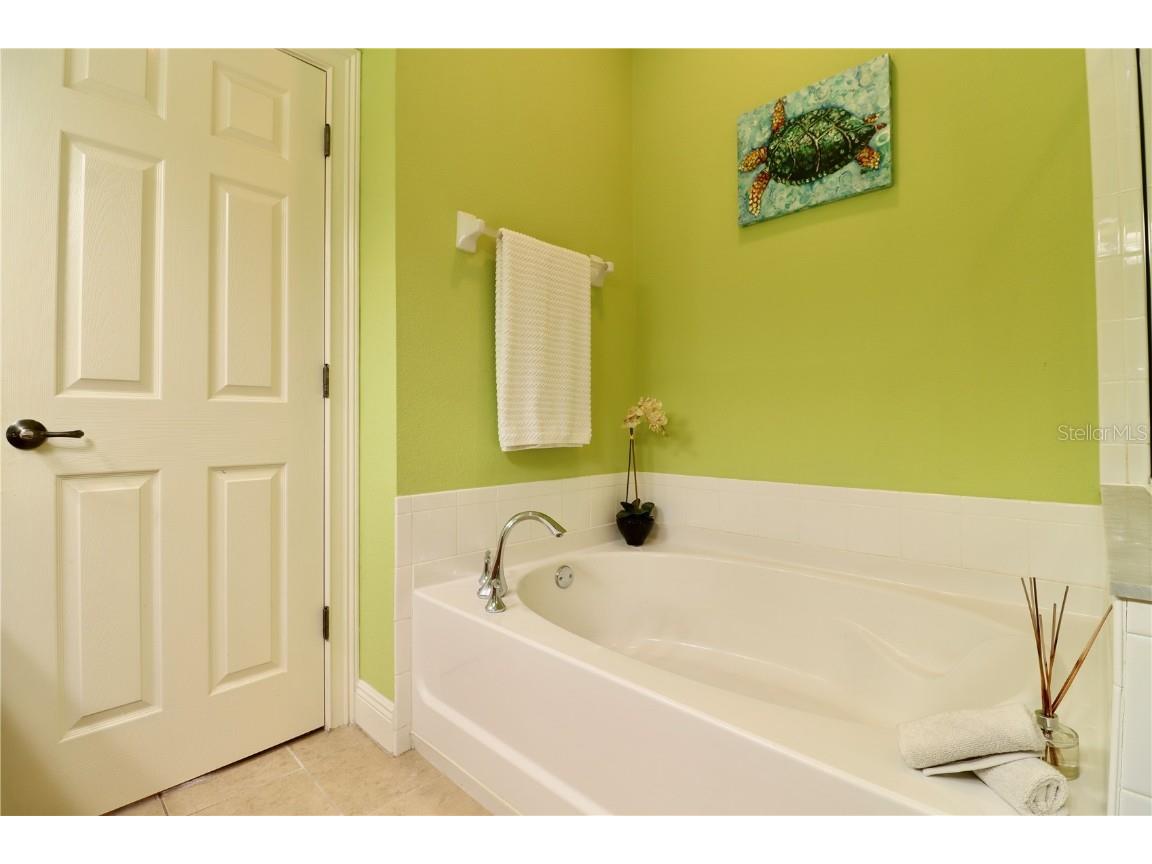 2524 Tranquility Drive Palm Harbor FL 34684 TB8448686 image18