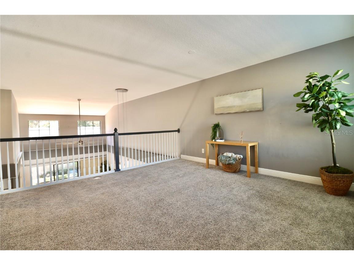 2524 Tranquility Drive Palm Harbor FL 34684 TB8448686 image22