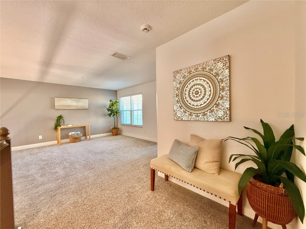 2524 Tranquility Drive Palm Harbor FL 34684 TB8448686 image23