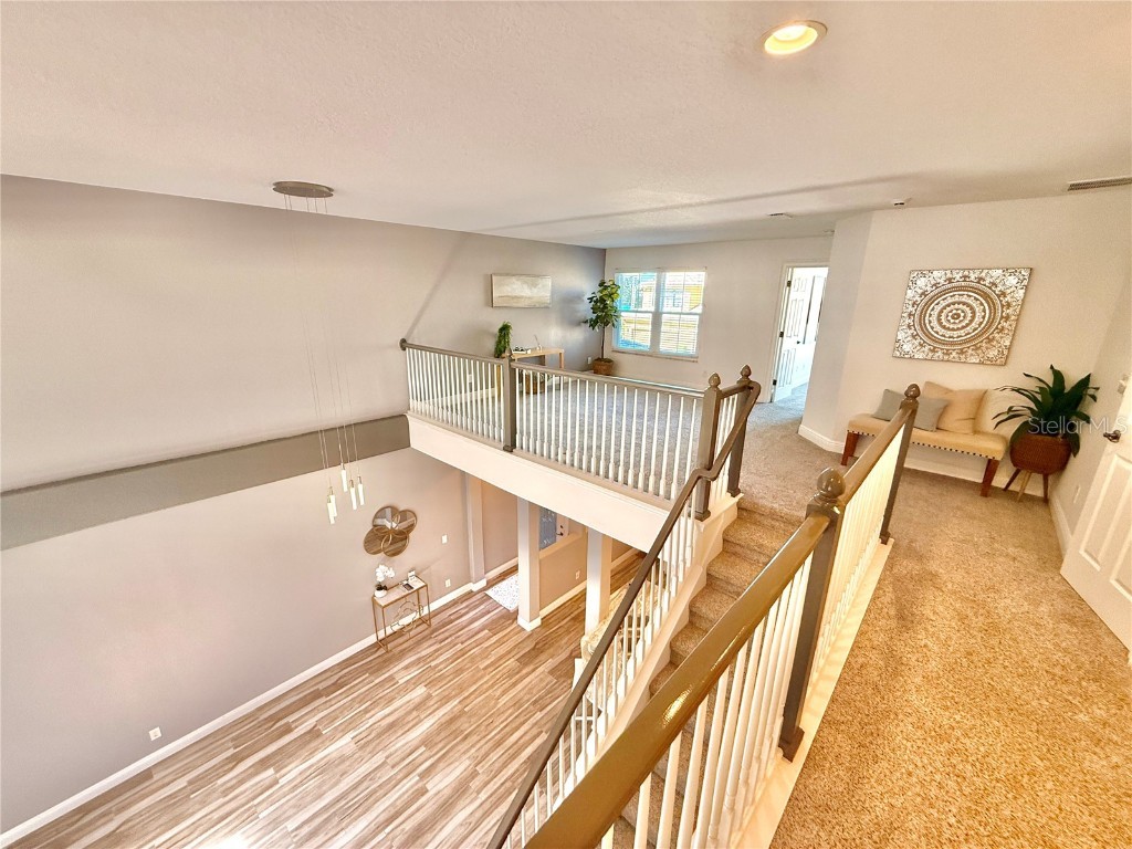 2524 Tranquility Drive Palm Harbor FL 34684 TB8448686 image24