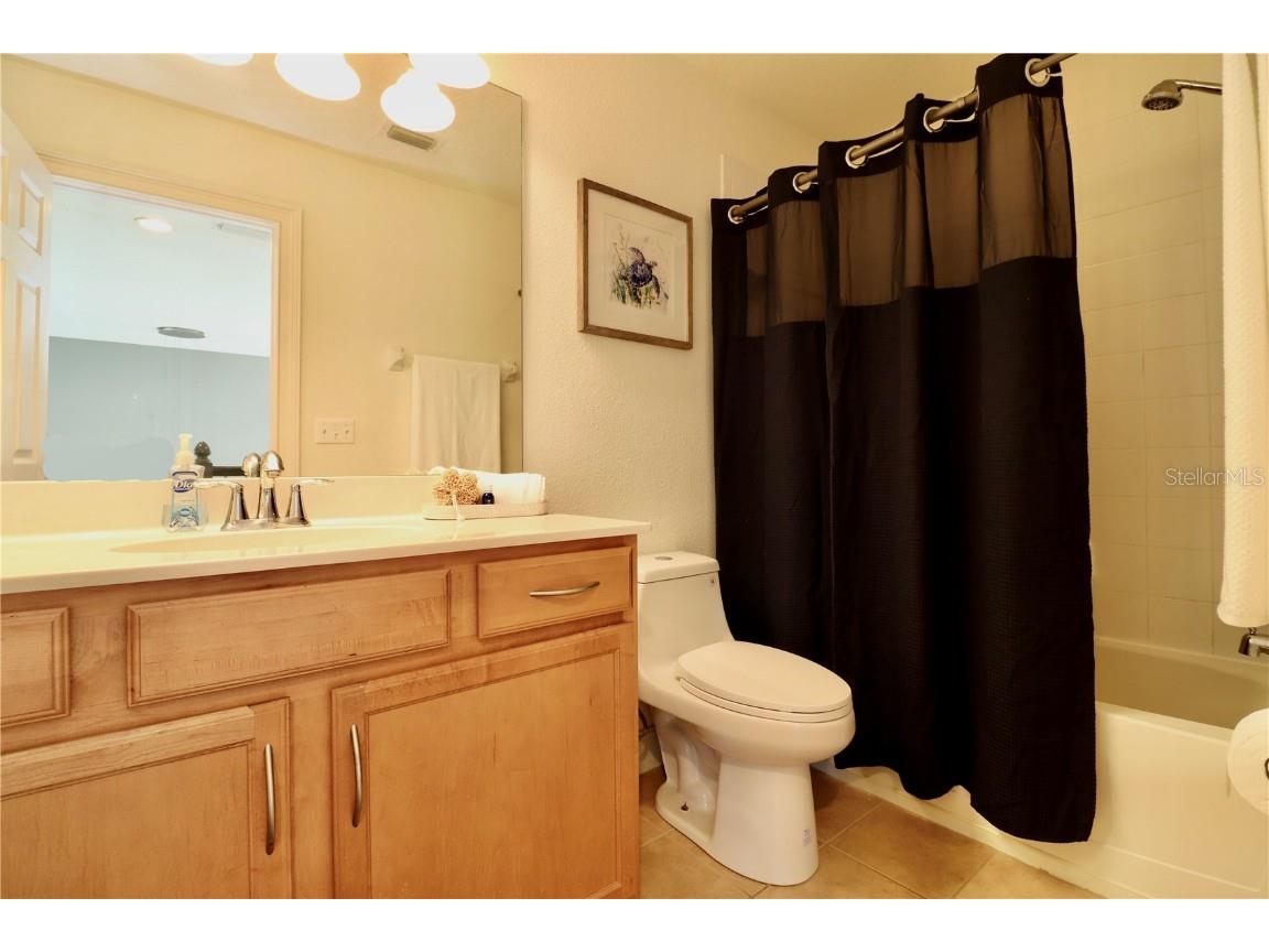 2524 Tranquility Drive Palm Harbor FL 34684 TB8448686 image25