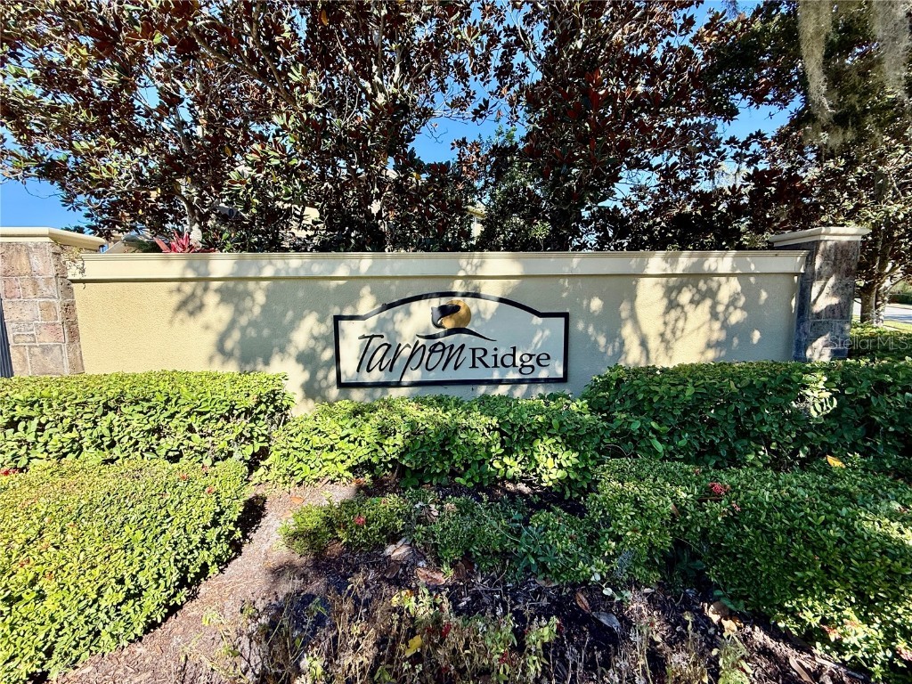 2524 Tranquility Drive Palm Harbor FL 34684 TB8448686 image3