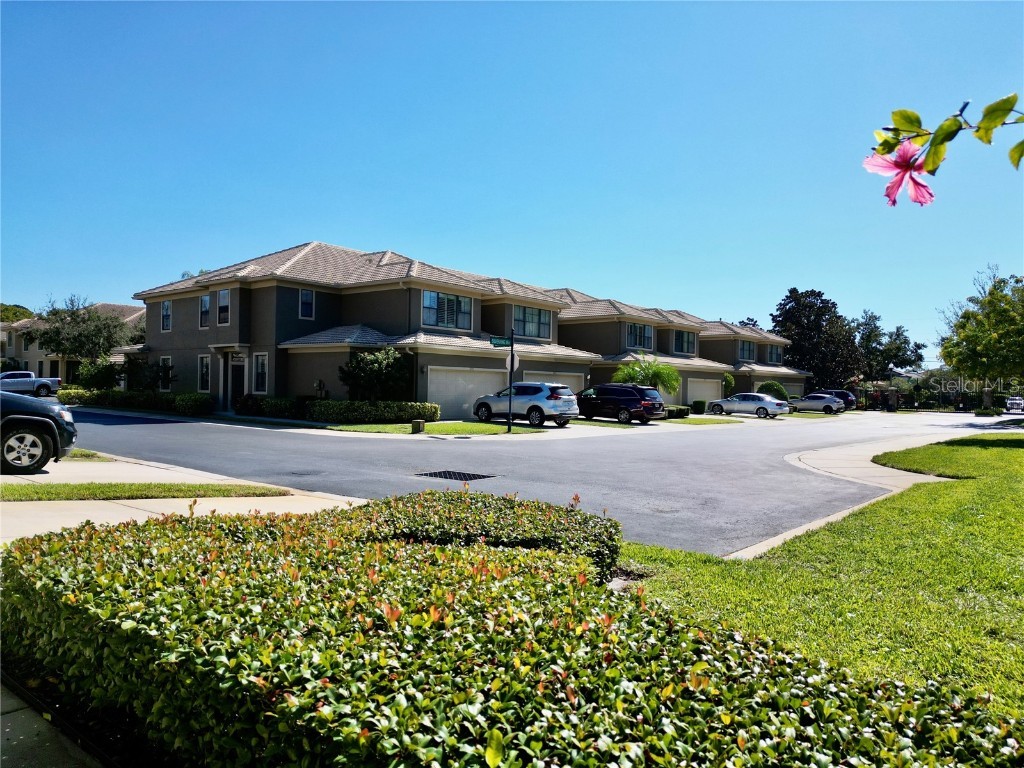 2524 Tranquility Drive Palm Harbor FL 34684 TB8448686 image39