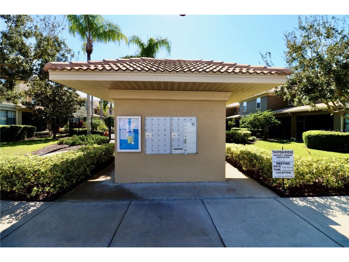 2524 Tranquility Drive Palm Harbor FL 34684 TB8448686 image40