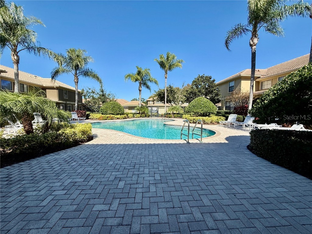 2524 Tranquility Drive Palm Harbor FL 34684 TB8448686 image42