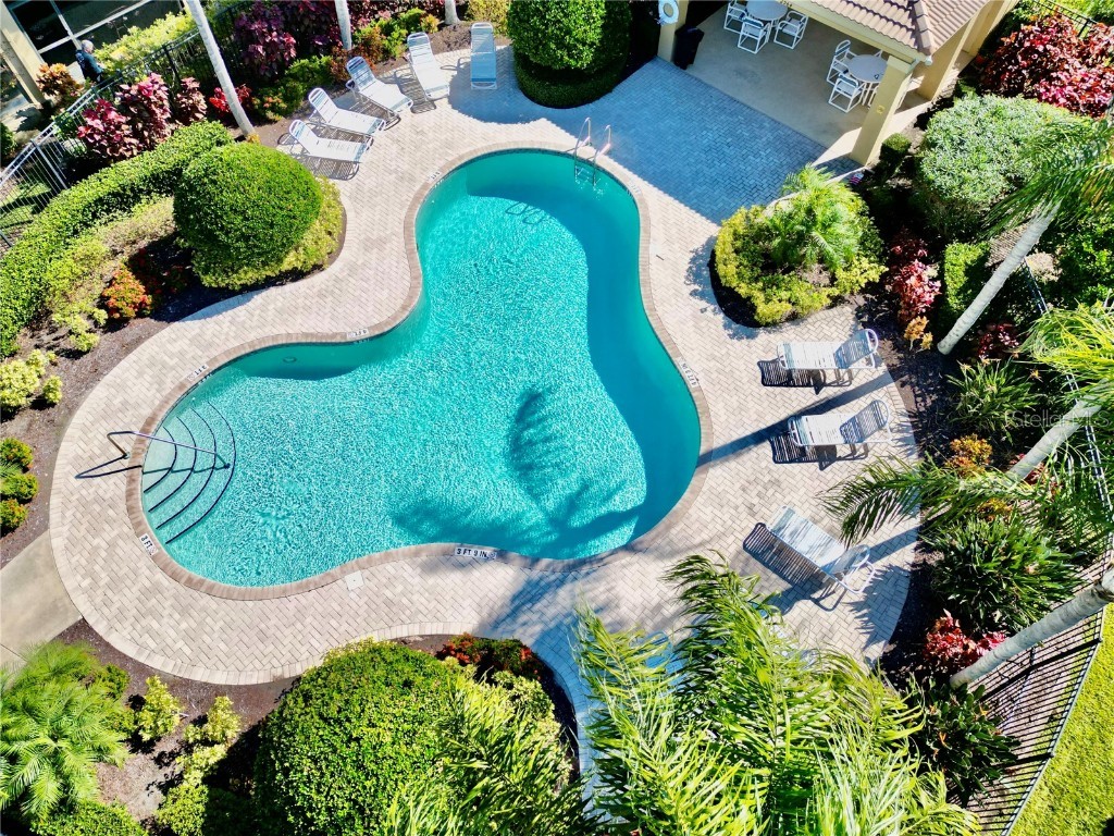 2524 Tranquility Drive Palm Harbor FL 34684 TB8448686 image44