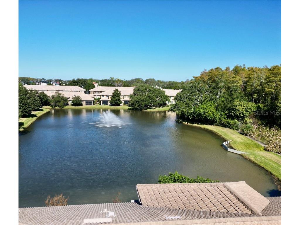 2524 Tranquility Drive Palm Harbor FL 34684 TB8448686 image46