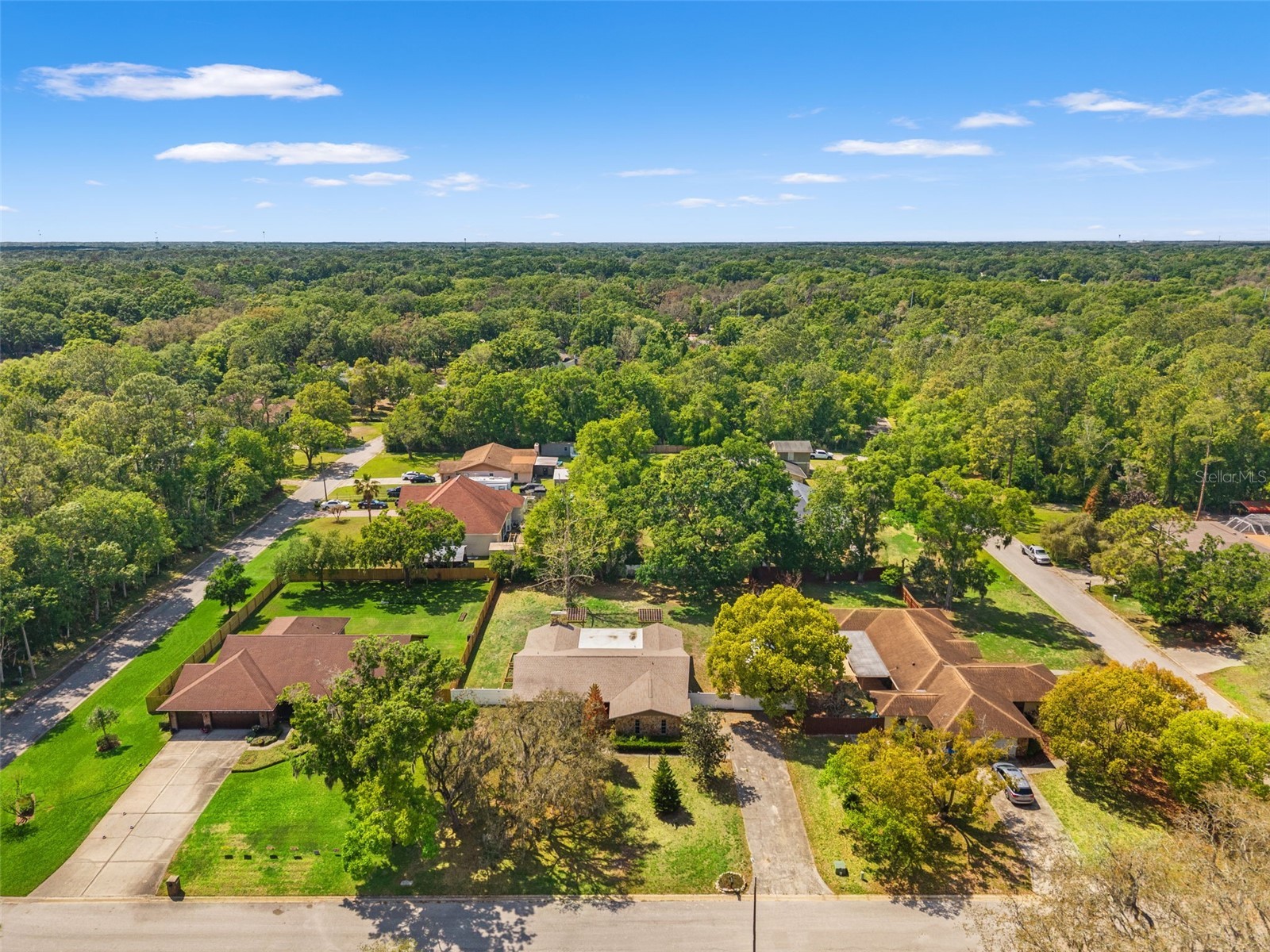 2524 Victarra Circle Lutz FL 33559 TB8491334 image1