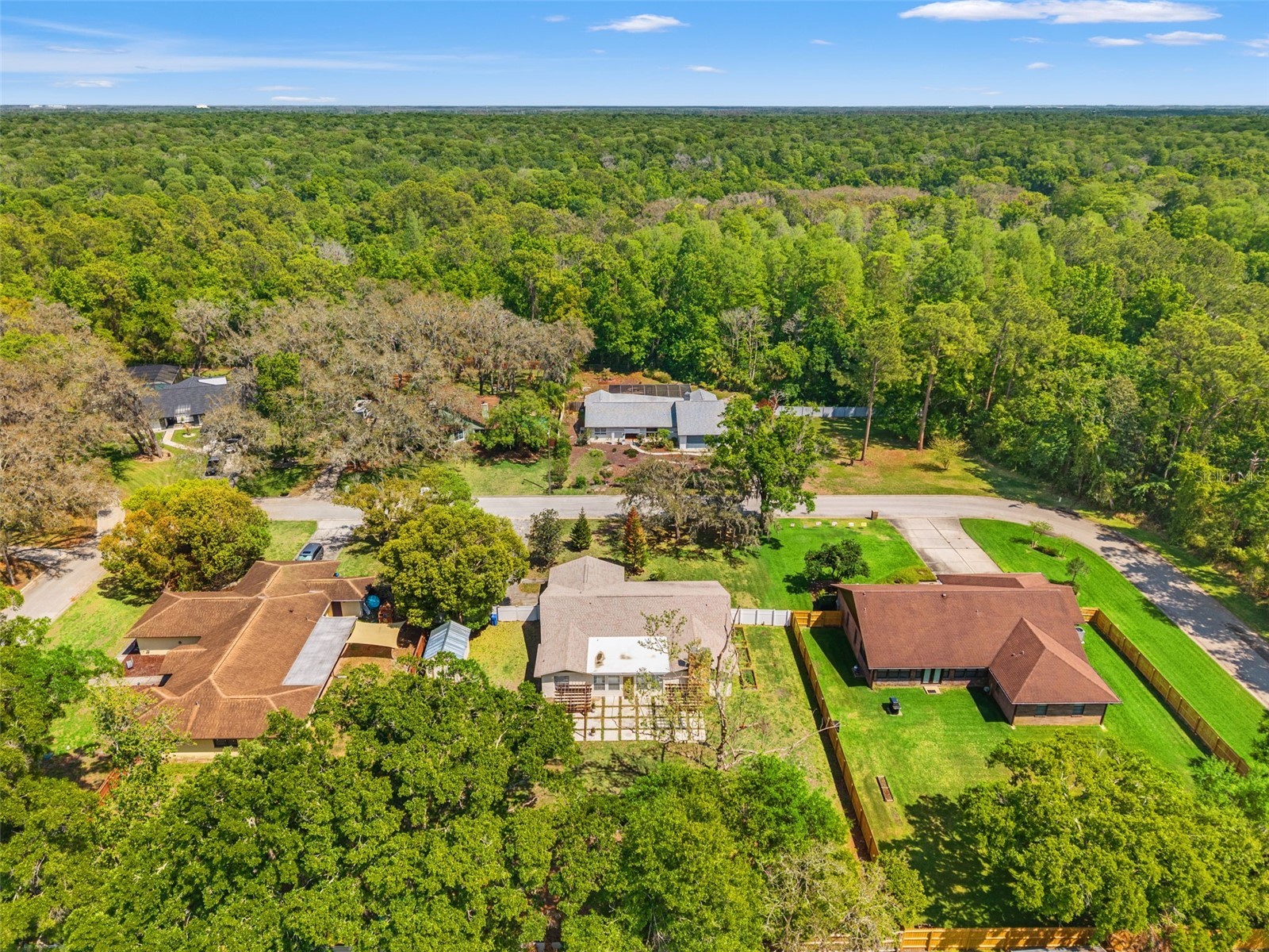 2524 Victarra Circle Lutz FL 33559 TB8491334 image6