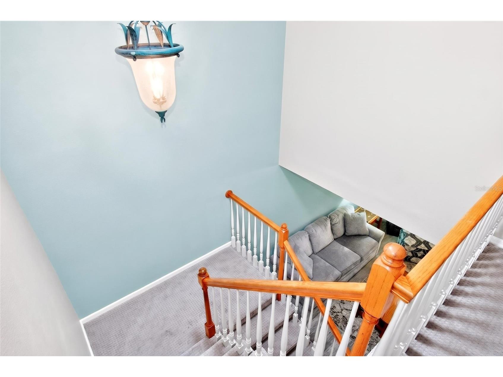 2524 W Brook Lane Clearwater FL 33761 TB8519361 image26