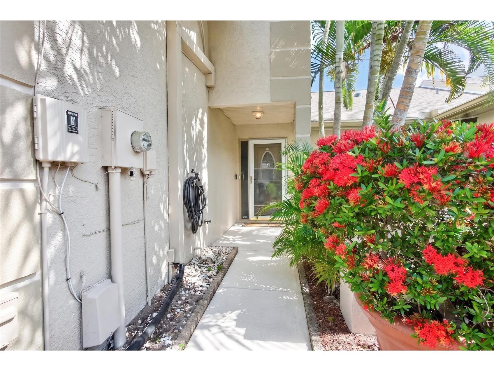 2524 W Brook Lane Clearwater FL 33761 TB8519361 image7