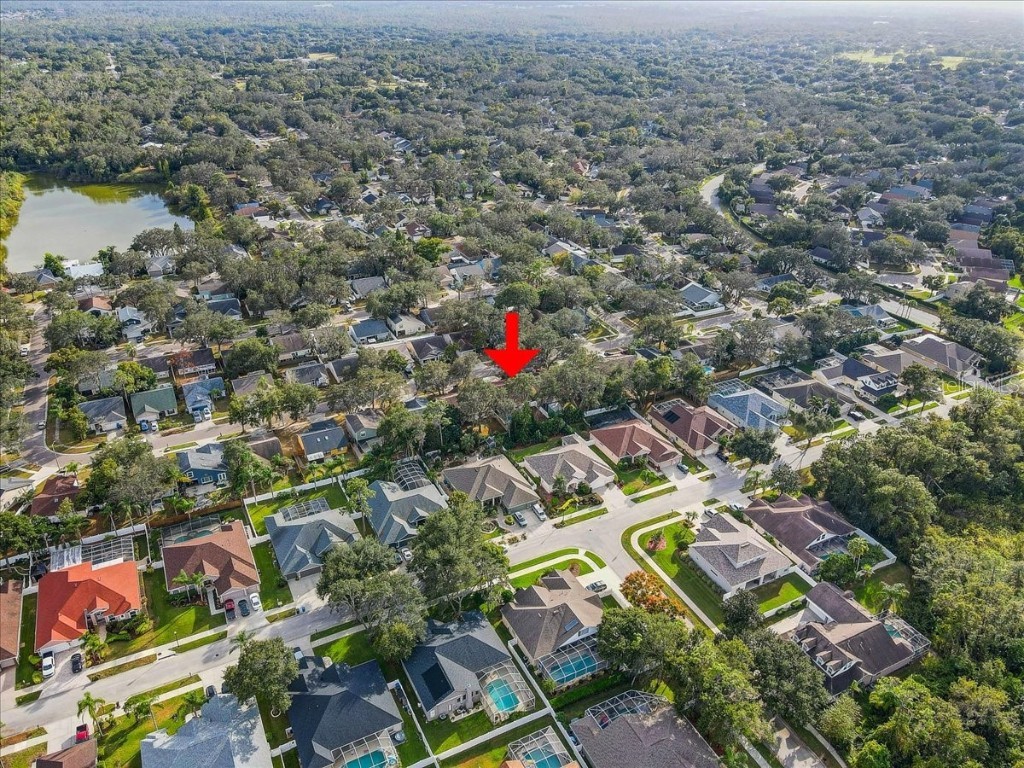 2524 Wrencrest Circle Valrico FL 33596 TB8443326 image32