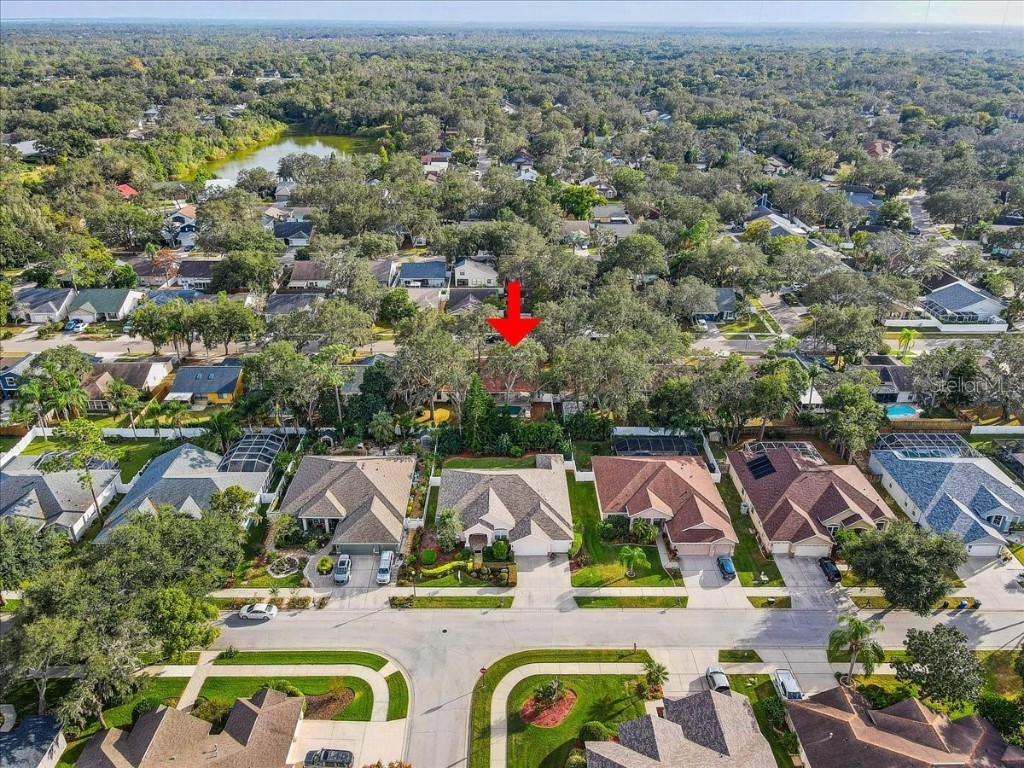 2524 Wrencrest Circle Valrico FL 33596 TB8443326 image34