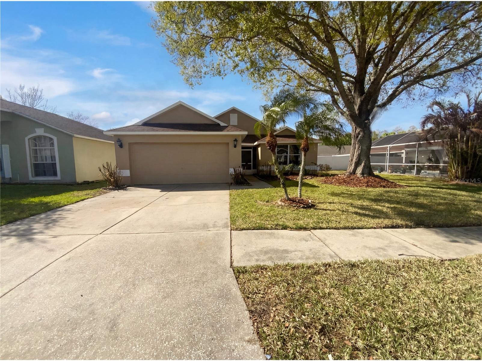 25241 Seven Rivers Circle Land O Lakes FL 34639 O6387600 image1