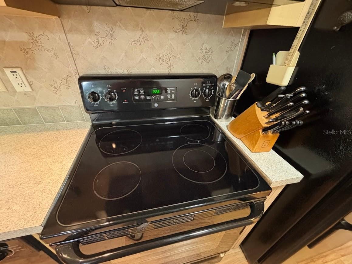25246 NE 143rd Street #181 Salt Springs FL 32134 - LITTLE LAKE KERR OM720885 image25