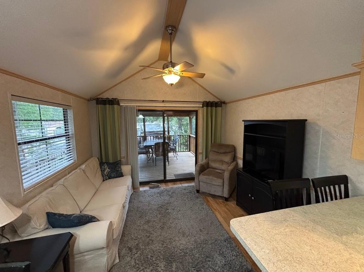 25246 NE 143rd Street #181 Salt Springs FL 32134 - LITTLE LAKE KERR OM720885 image32