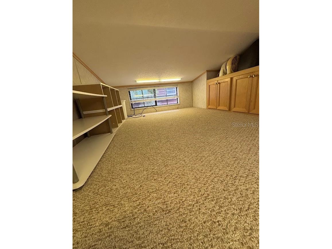 25246 NE 143rd Street #181 Salt Springs FL 32134 - LITTLE LAKE KERR OM720885 image34