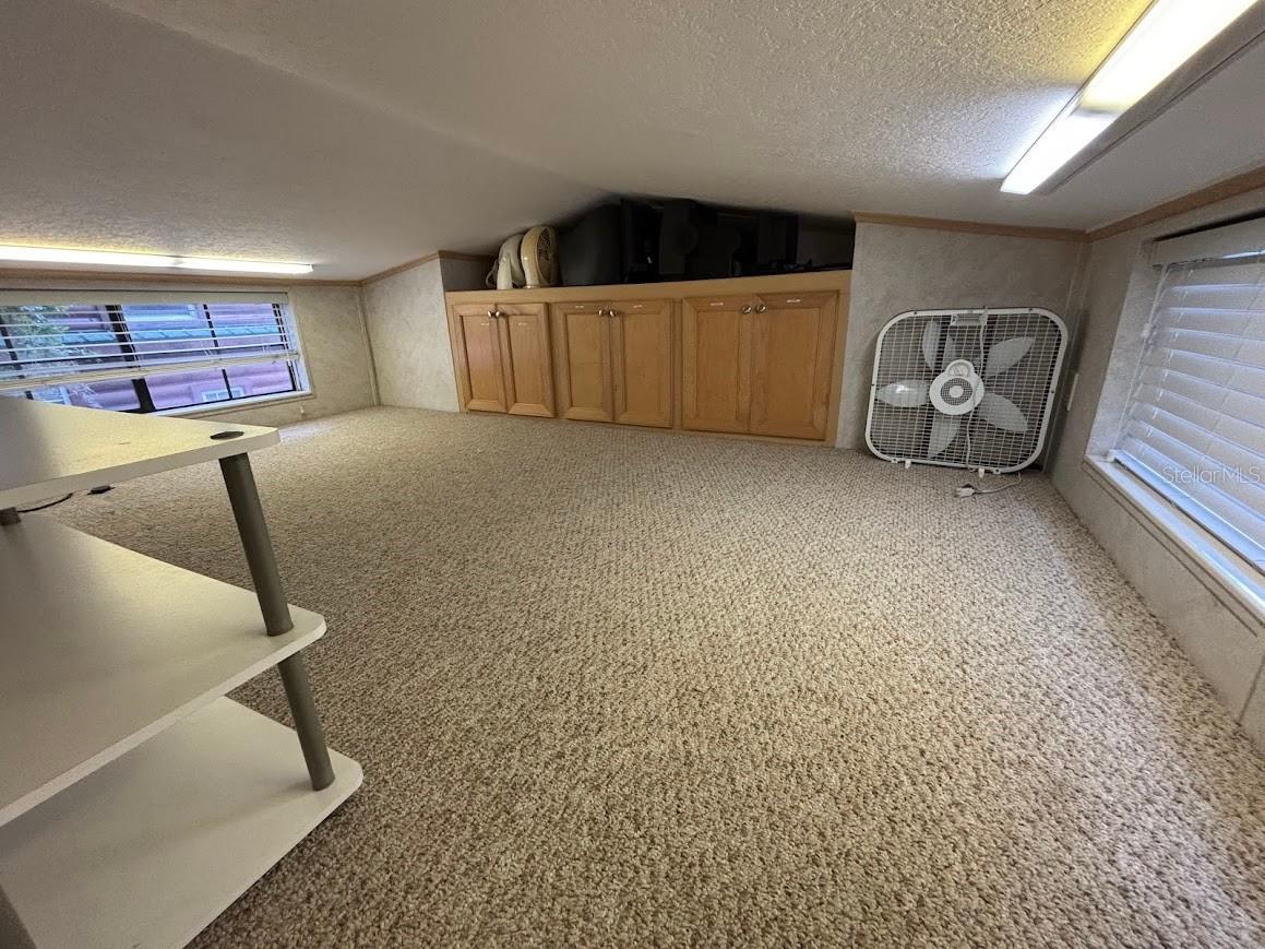 25246 NE 143rd Street #181 Salt Springs FL 32134 - LITTLE LAKE KERR OM720885 image35
