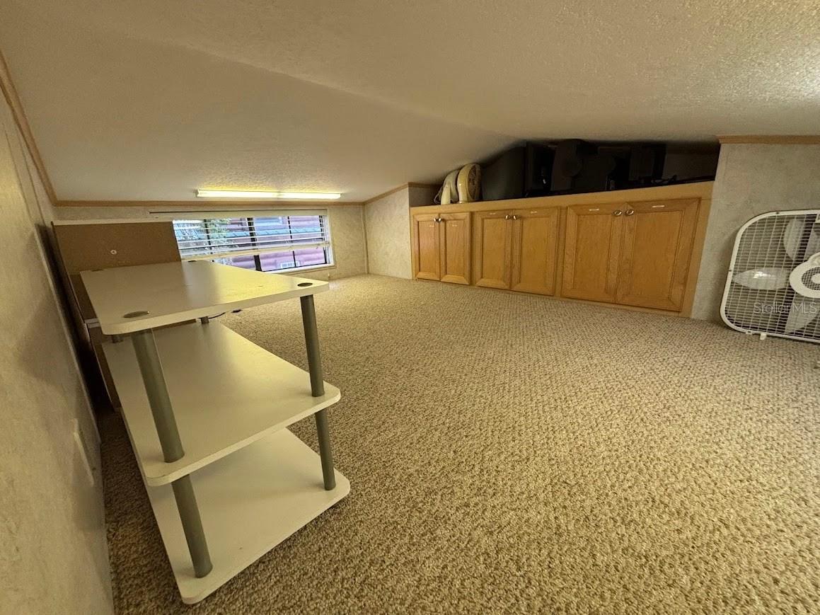 25246 NE 143rd Street #181 Salt Springs FL 32134 - LITTLE LAKE KERR OM720885 image36
